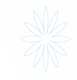 白鲸加速器官网